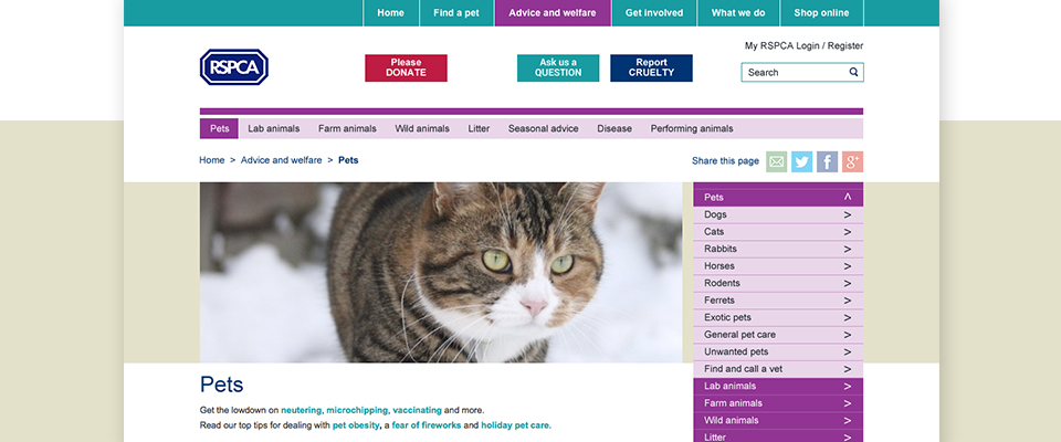 RSPCA-Website-Design-2